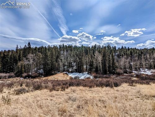 1620 Park Ridge Dr, Guffey, CO, 80820-9684 | Card Image