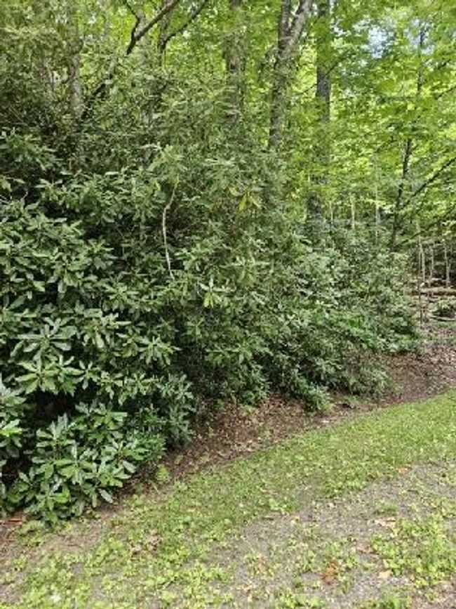 F-16 Otter Creek Trl, Home with 0 bedrooms, 0 bathrooms and null parking in Fancy Gap VA | Image 4