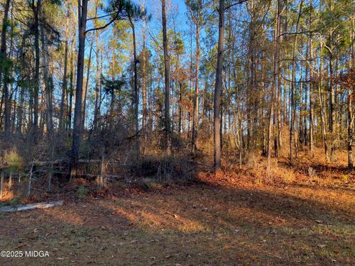 0 Oak Ridge Dr, Butler, GA, 31006 | Card Image