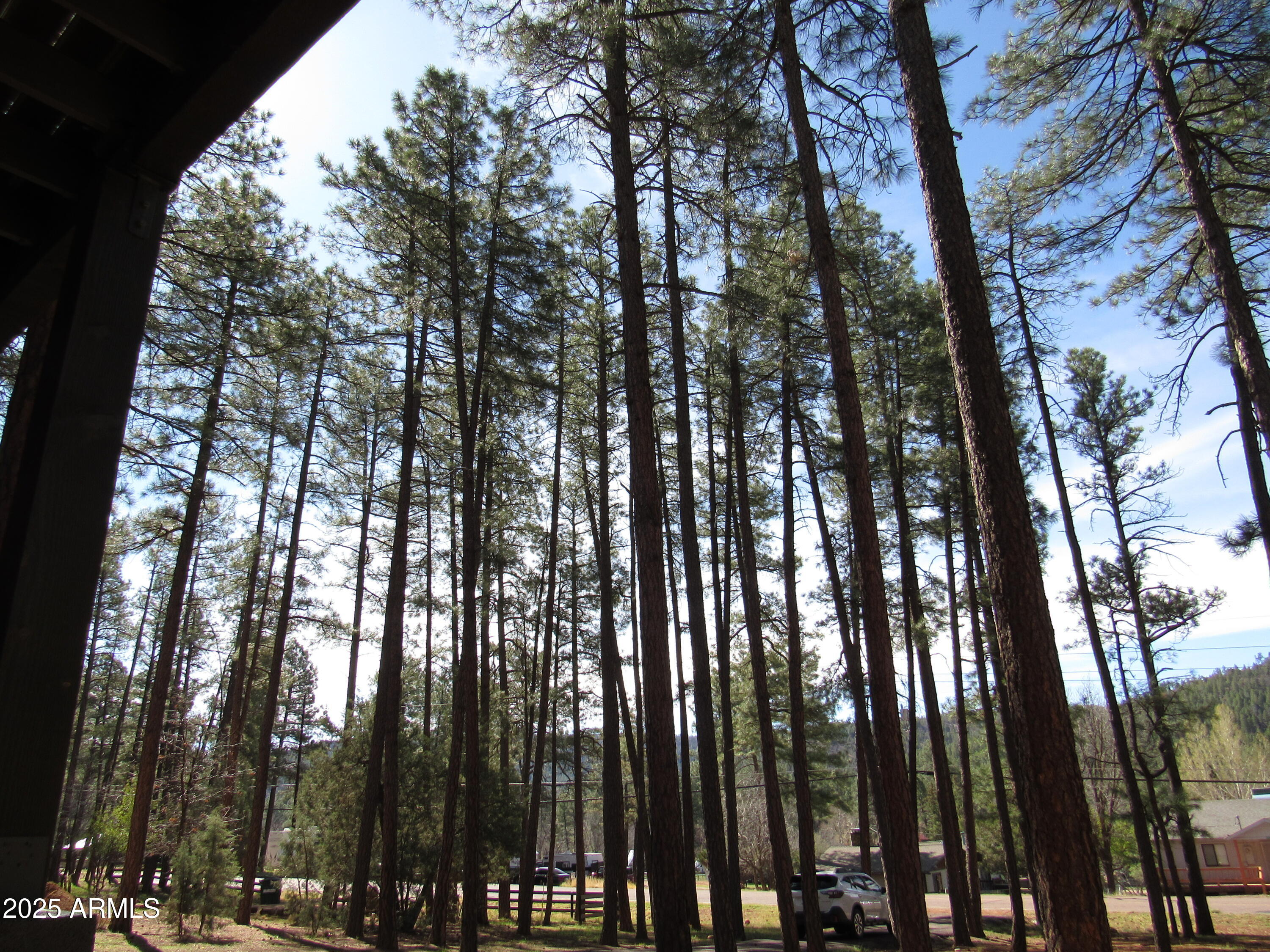 Residential in Pine 2