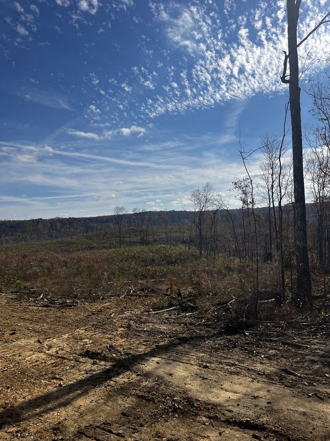 0 Northcutts Cove Rd, Home with 0 bedrooms, 0 bathrooms and null parking in Beersheba Springs TN | Image 10