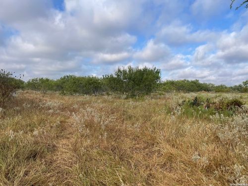 3 ACRES TBD Cr 118, Floresville, TX, 78114 | Card Image