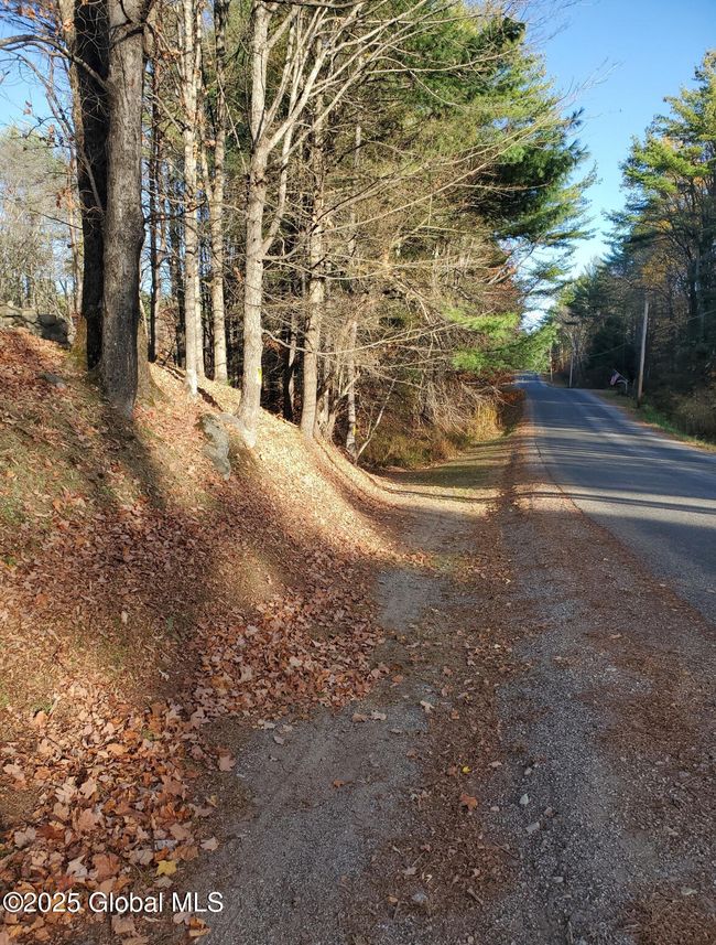 3 Drager Rd, Home with 0 bedrooms, 0 bathrooms and null parking in Galway NY | Image 6