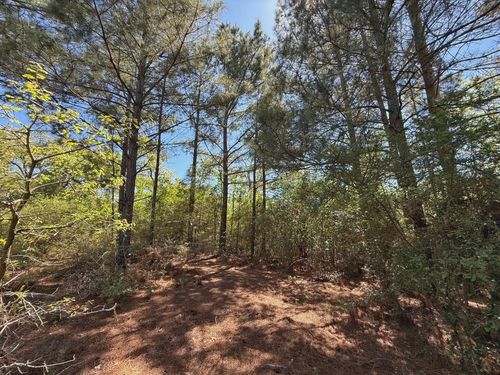 10 ac County Road 2926, Buffalo, TX, 75831 | Card Image
