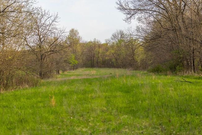 View of landscape with a view of trees | Image 65