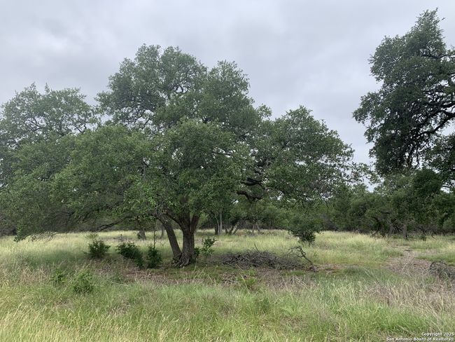 191 Indian Blanket Pl, Home with 0 bedrooms, 0 bathrooms and null parking in Spring Branch TX | Image 4