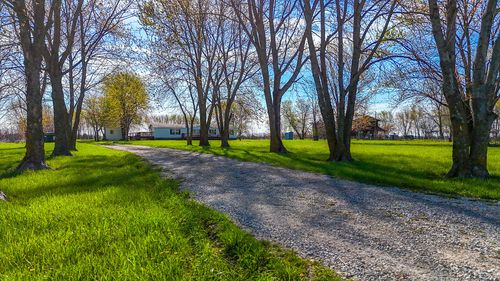 276 County Road 1045, AUXVASSE, MO, 65231-2908 | Card Image