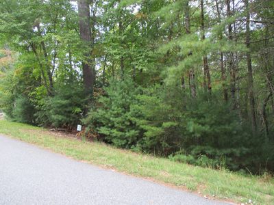 Lot 25 Byers Road, Home with 0 bedrooms, 0 bathrooms and null parking in Blairsville GA | Image 2