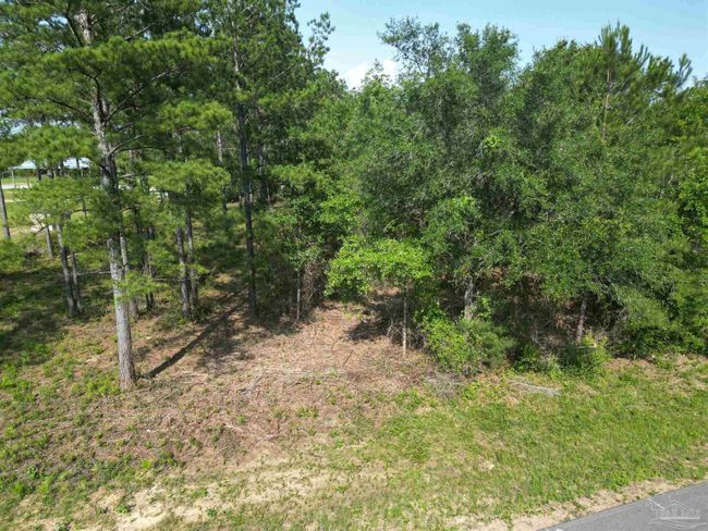 7724 Tidwell Rd, Home with 0 bedrooms, 0 bathrooms and null parking in Pace FL | Image 6