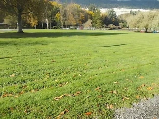 12017 Hodgkin Rd, House other with 3 bedrooms, 2 bathrooms and 1 parking in Fraser Valley Rd Rural BC | Image 35