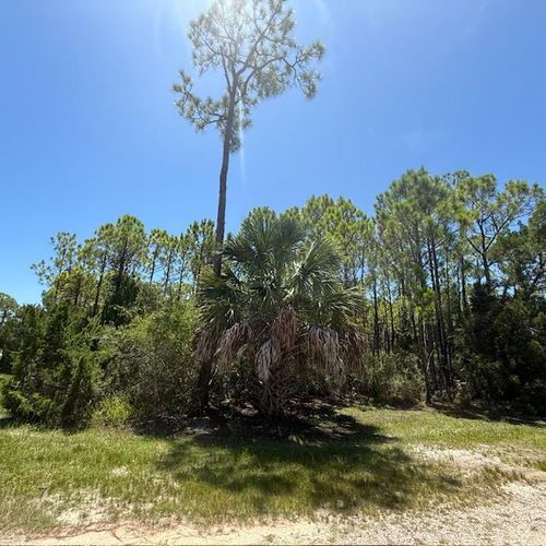 1259 E Gulf Beach Dr, Saint George Island, FL, 32328-3103 | Card Image