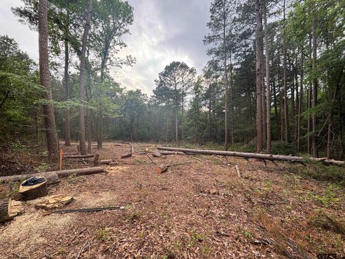 TBD Zinnia Rd, Diana, TX, 75640 | Card Image