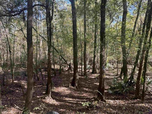 00 Sandy Dr, Hawkinsville, GA, 31036 | Card Image
