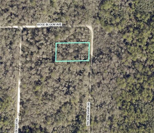 8009 Packingham Dr, WEBSTER, FL, 33597 | Card Image