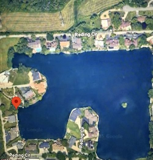 9676 Reding Cir, Des Plaines, IL, 60016-1551 | Card Image
