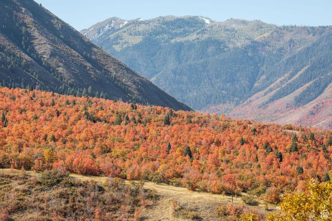 Mountain view featuring a heavily wooded area | Image 19