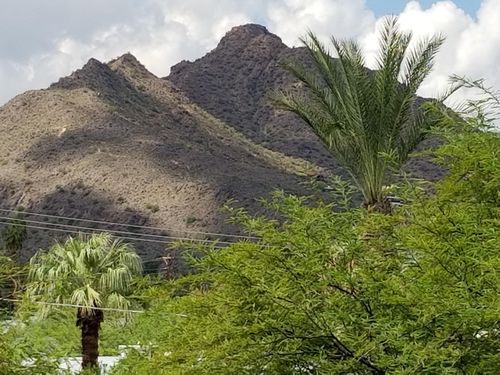 3003-7117 E Rancho Vista Dr, Scottsdale, AZ, 85251-1348 | Card Image