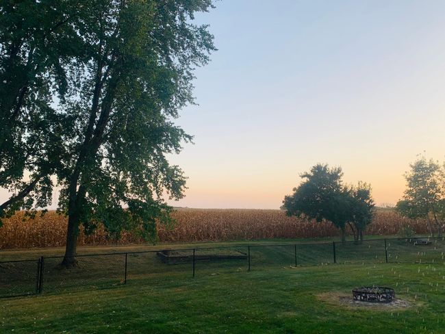 Backyard at Dusk | Image 29