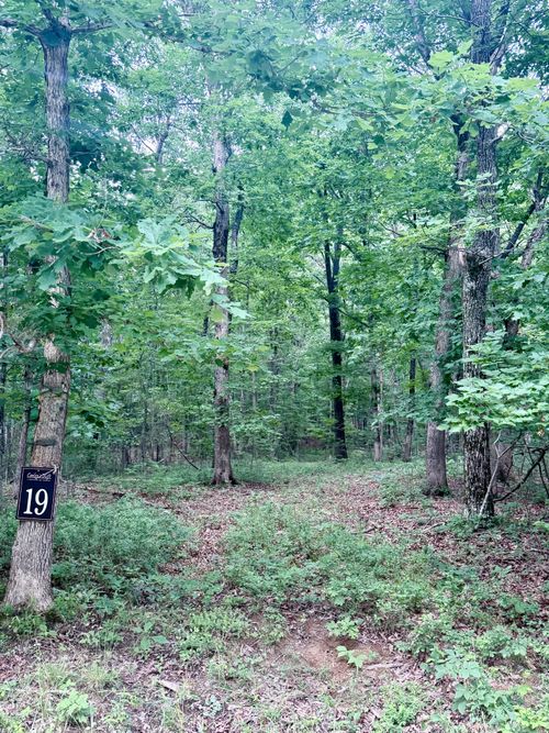 0 Deepwoods Bluff Rd, Sewanee, TN, 37375 | Card Image