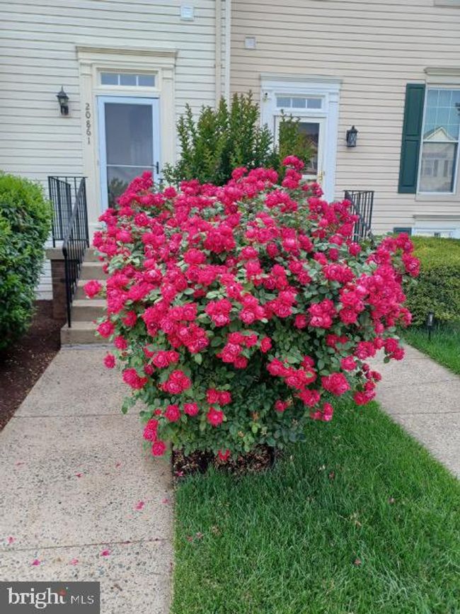 20681 Southwind Ter, Townhouse with 3 bedrooms, 3 bathrooms and null parking in ASHBURN VA | Image 52