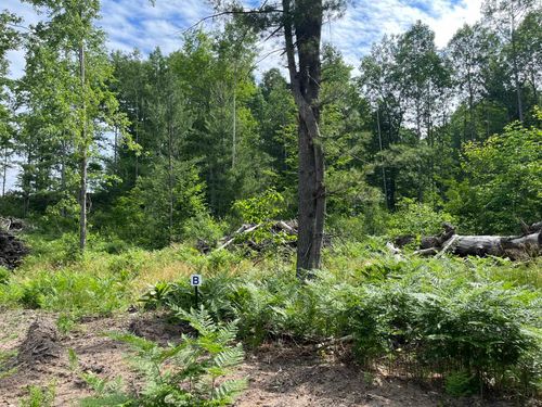 parcel B Hoosier Flats Road, Blair Township, MI, 49685 | Card Image