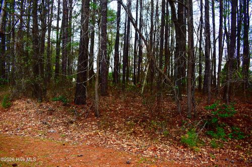 6708 Wood Avenue, Saratoga, NC, 27873 | Card Image