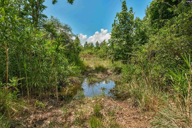 0000 N Brewington Rd, Home with 0 bedrooms, 0 bathrooms and null parking in Manning SC | Image 70
