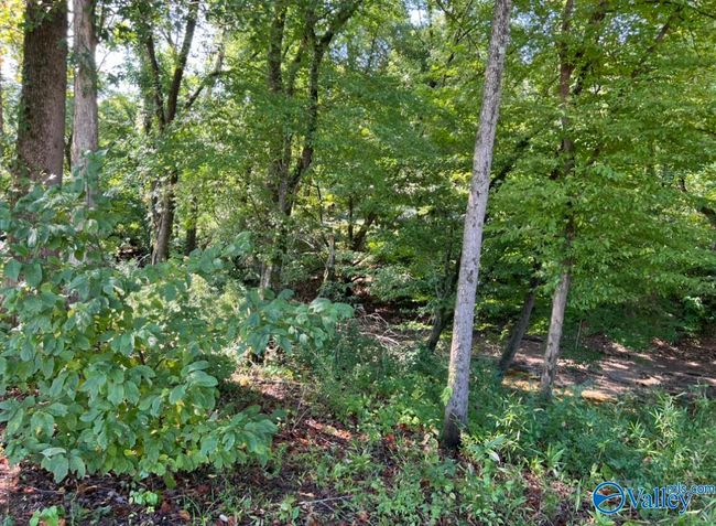 13 County Road 1042, Home with 0 bedrooms, 0 bathrooms and null parking in centre AL | Image 39
