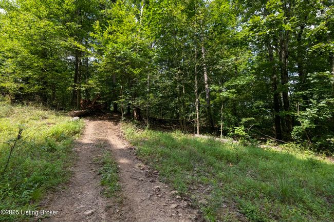 7 Vanmeter Cemetery Rd, Home with 0 bedrooms, 0 bathrooms and null parking in Bee Spring KY | Image 34