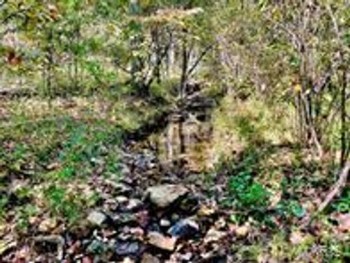 9641 Crane Dr, Bucyrus, MO, 65444-8119 | Card Image