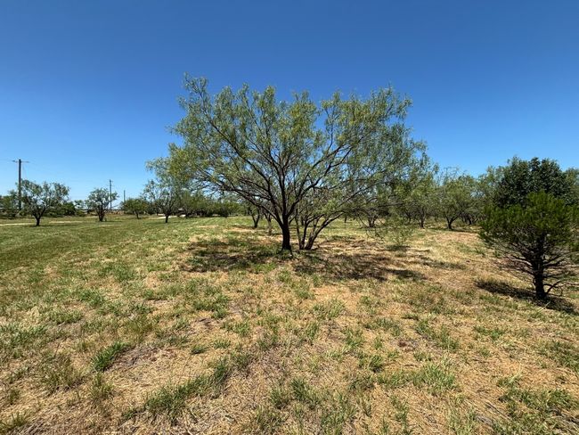 6480 Fm 603, House other with 4 bedrooms, 2 bathrooms and null parking in Clyde TX | Image 18