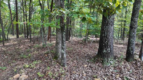 00 Old Georgia Hwy, cowpens, SC, 29330 | Card Image