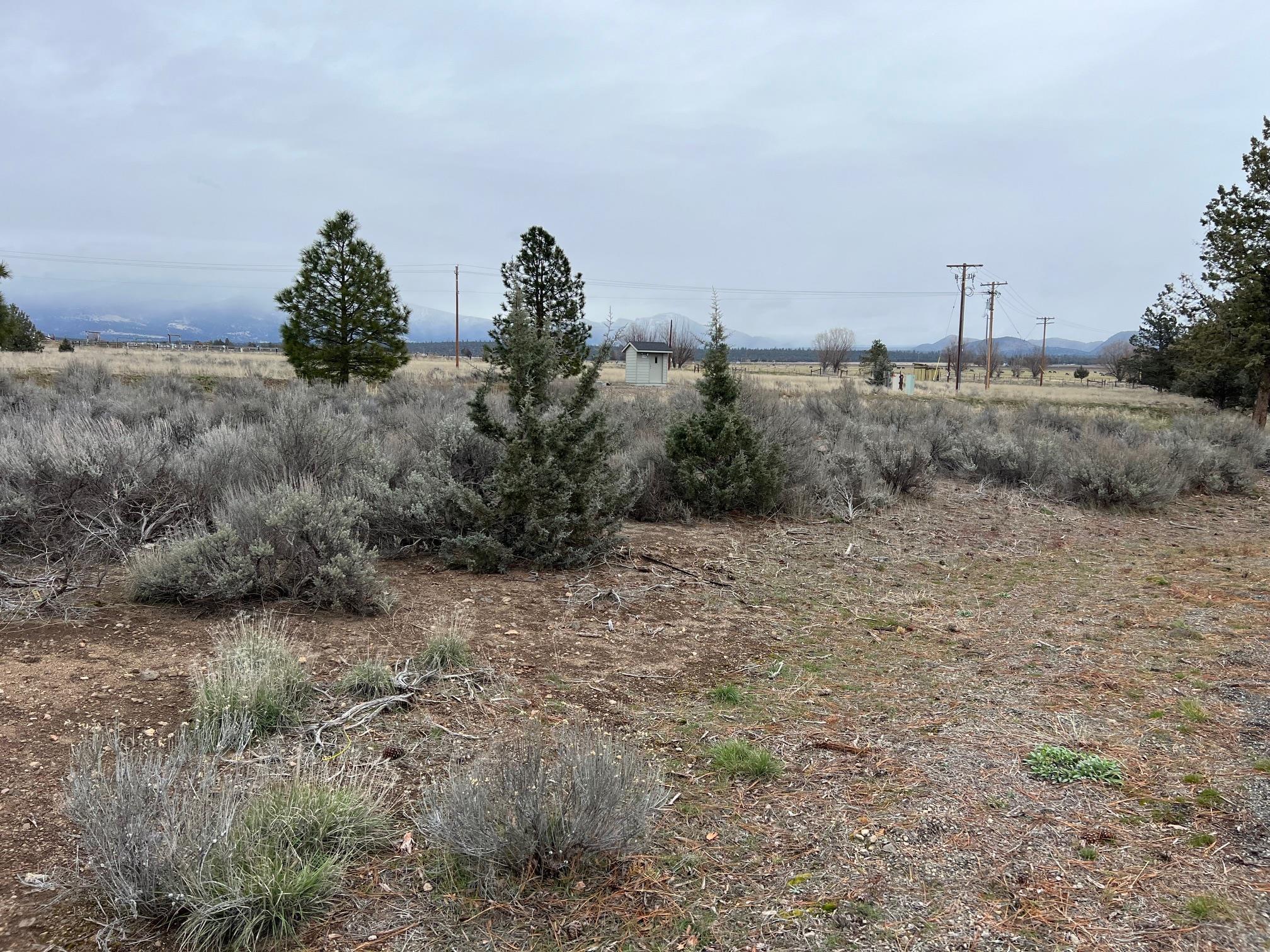 Land in Weed 5