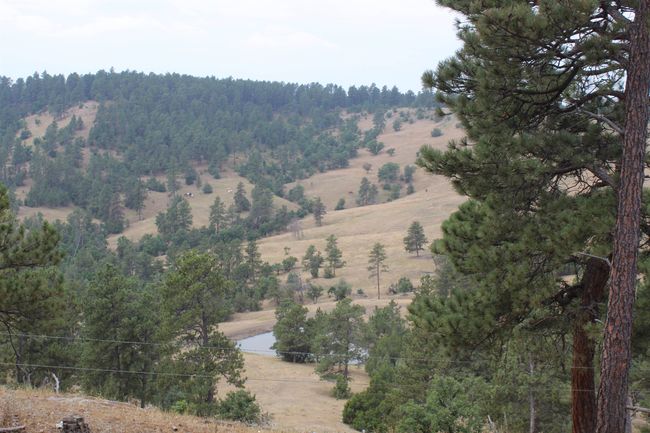 371 New Haven Rd, Home with 0 bedrooms, 0 bathrooms and null parking in Hulett WY | Image 15