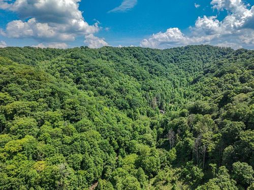 TBD Osborne Branch Rd, Grundy, VA, 24614 | Card Image
