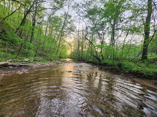 0 Blowing Springs Rd, Lawrenceburg, TN, 38464 | Card Image