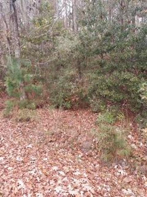 Lot 207 Prices Bridge Ln, Walterboro, SC, 29488-6982 | Card Image