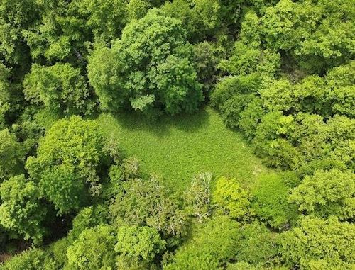 Tbd Buffalo Hollow Rd, Castlewood, VA, 24224 | Card Image