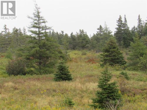 16 Old Road Extension, Colliers, NL, A0A1Y0 | Card Image