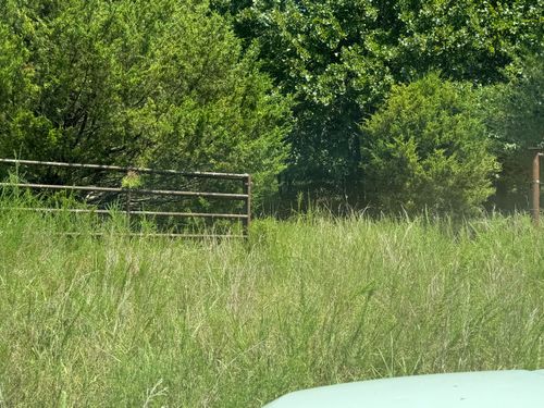 000 Tbd County Road 946, Squires, MO, 65755 | Card Image