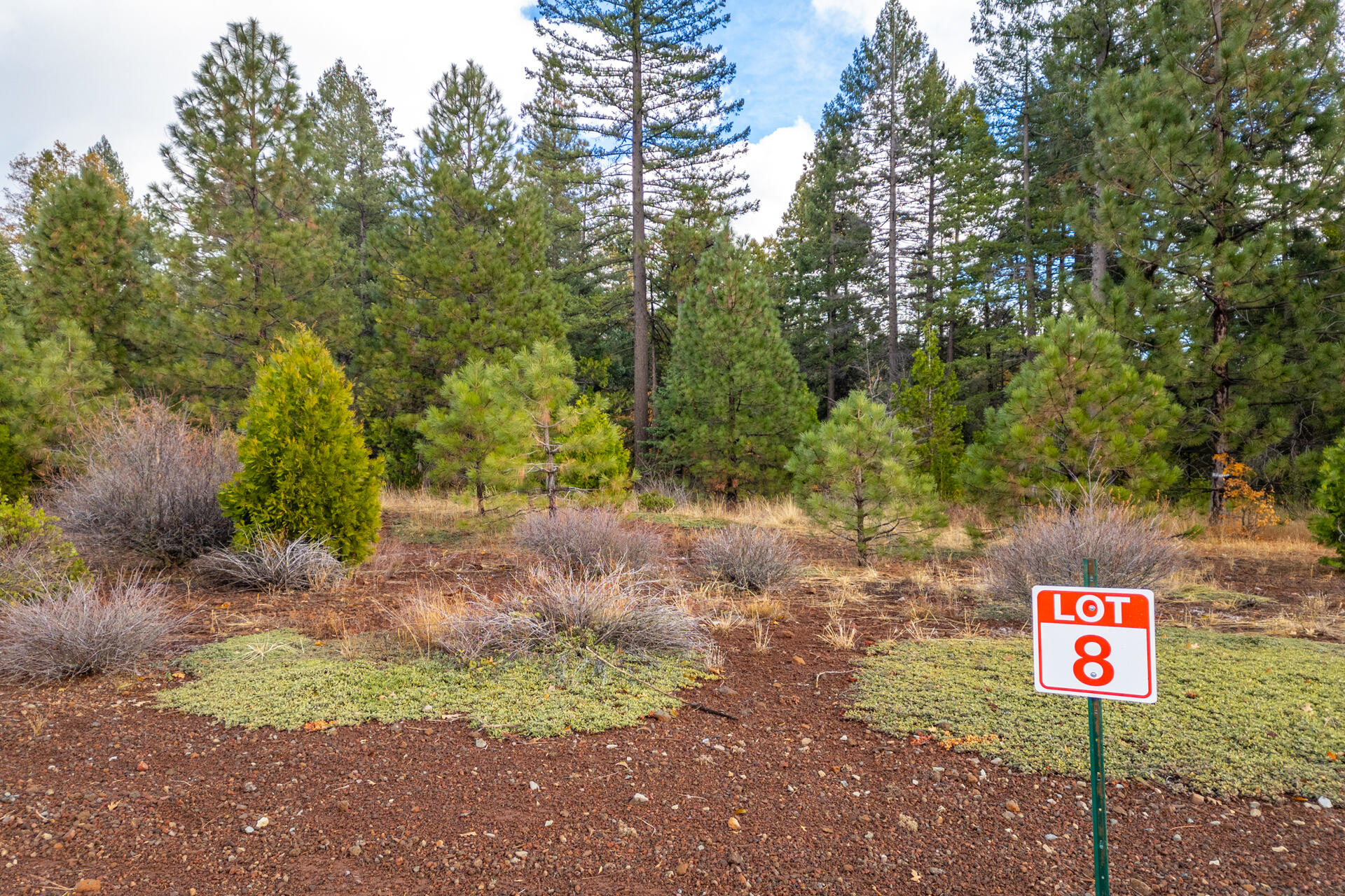 Land in Shingletown 3