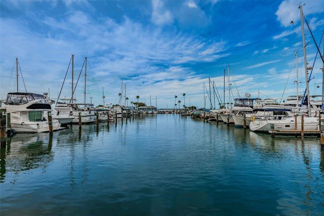 APT-103 - 845 Maple Ct, Condo with 2 bedrooms, 1 bathrooms and null parking in DUNEDIN FL | Image 31