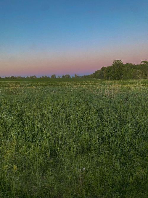 Lot 1 State Rte W, Drexel, MO, 64742 | Card Image