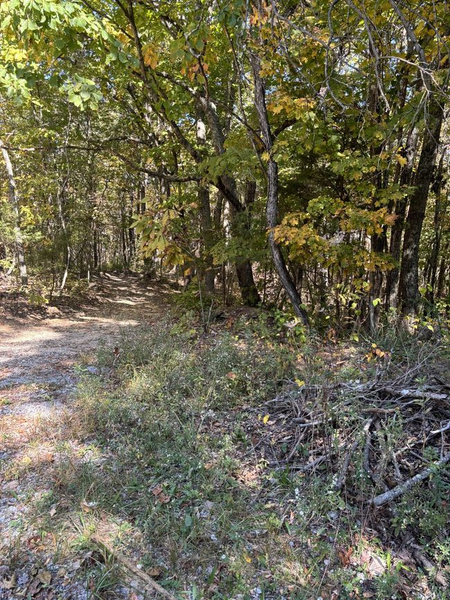 0 Middle Ridge Rd, Home with 0 bedrooms, 0 bathrooms and null parking in Beersheba Springs TN | Image 12