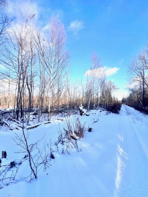 81 Drews Mill Road, Linneus, ME, 04730 | Card Image