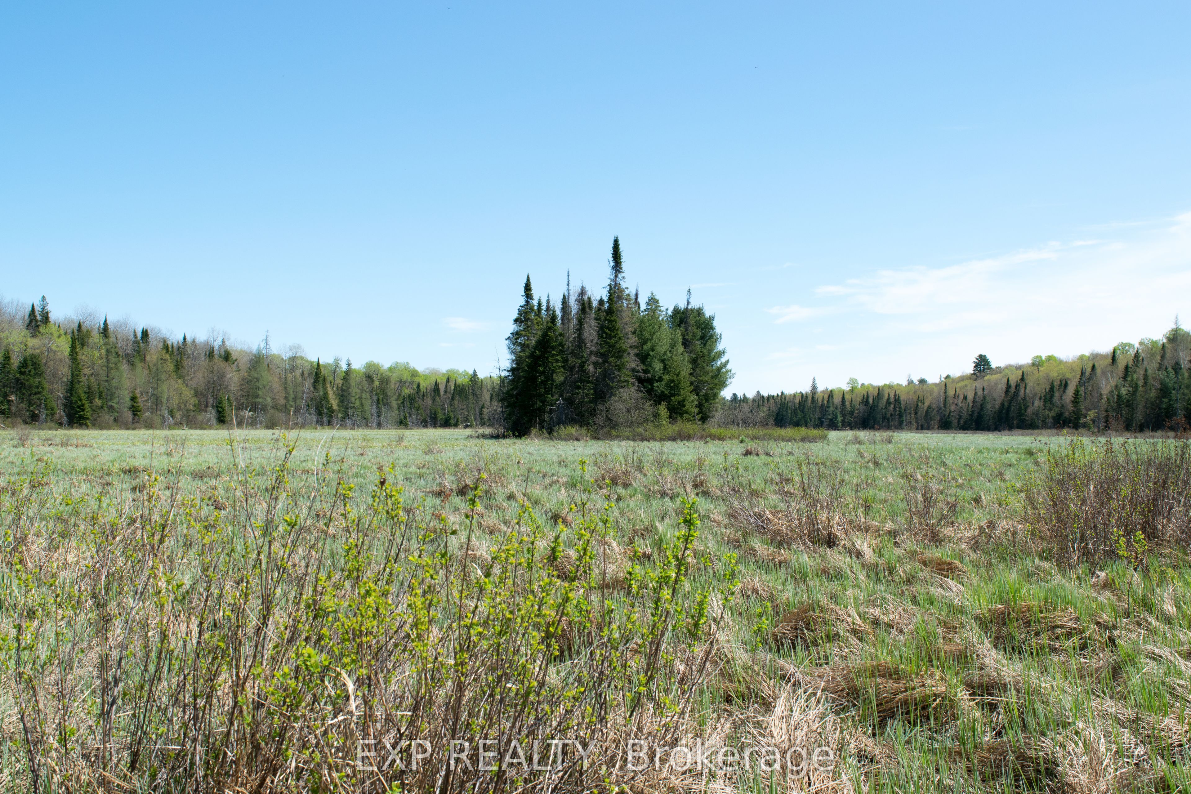 Residential in Muskoka Lakes 4