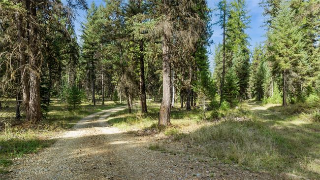 3217 Loon Lake Rd, Home with 0 bedrooms, 0 bathrooms and null parking in Trego MT | Image 31