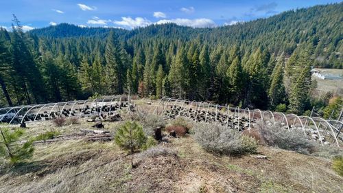 241 Cannonball Rd, Wildwood, CA, 96076-9522 | Card Image