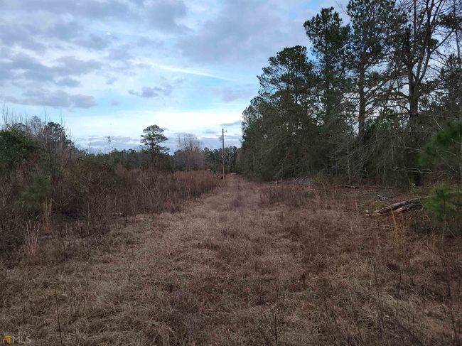 2757 Us Highway 1 N, Home with 0 bedrooms, 0 bathrooms and null parking in swainsboro GA | Image 13