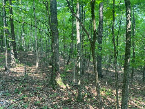 lot-51-Lt 51, 53 Squirrel Hunting Rd, Ellijay, GA, 30536-6532 | Card Image